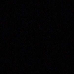 Meet your Posher, Reese